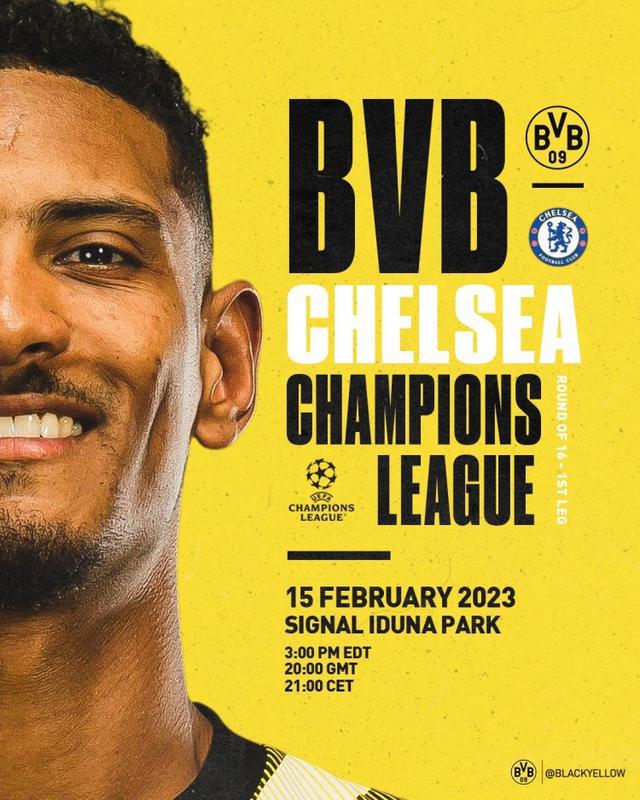 的张玉宁加 的张玉宁加