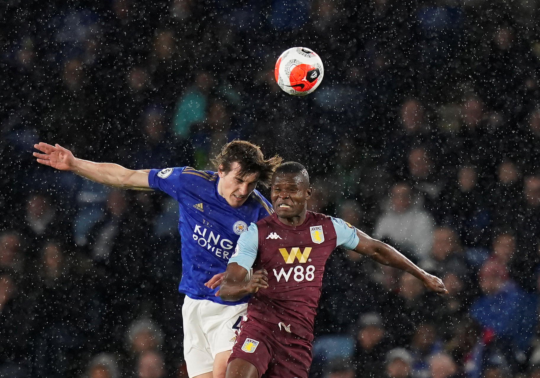 育文化的互 育文化的互