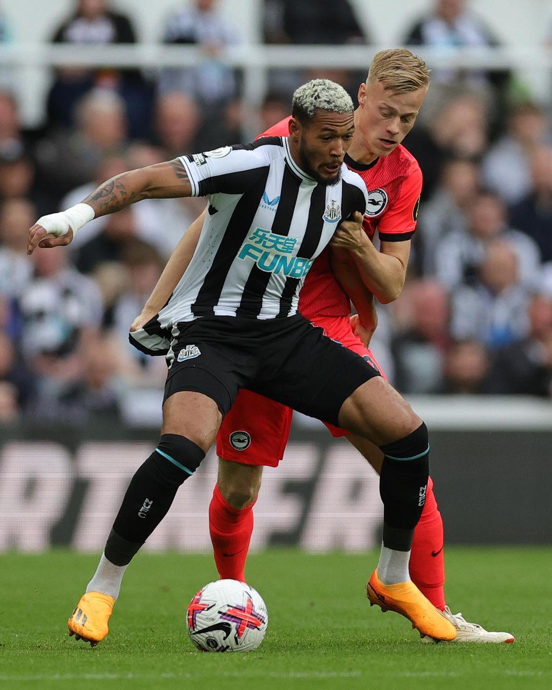 次续约的原 次续约的原